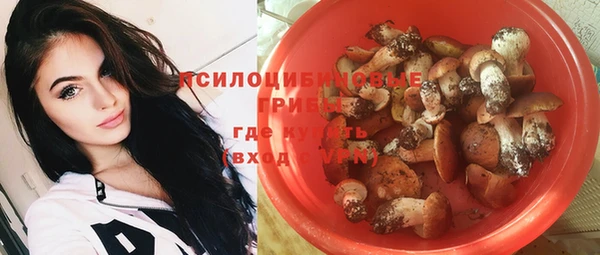 эйфоретик Алексеевка